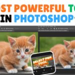 Top 6 Most Powerful Tools in Photoshop